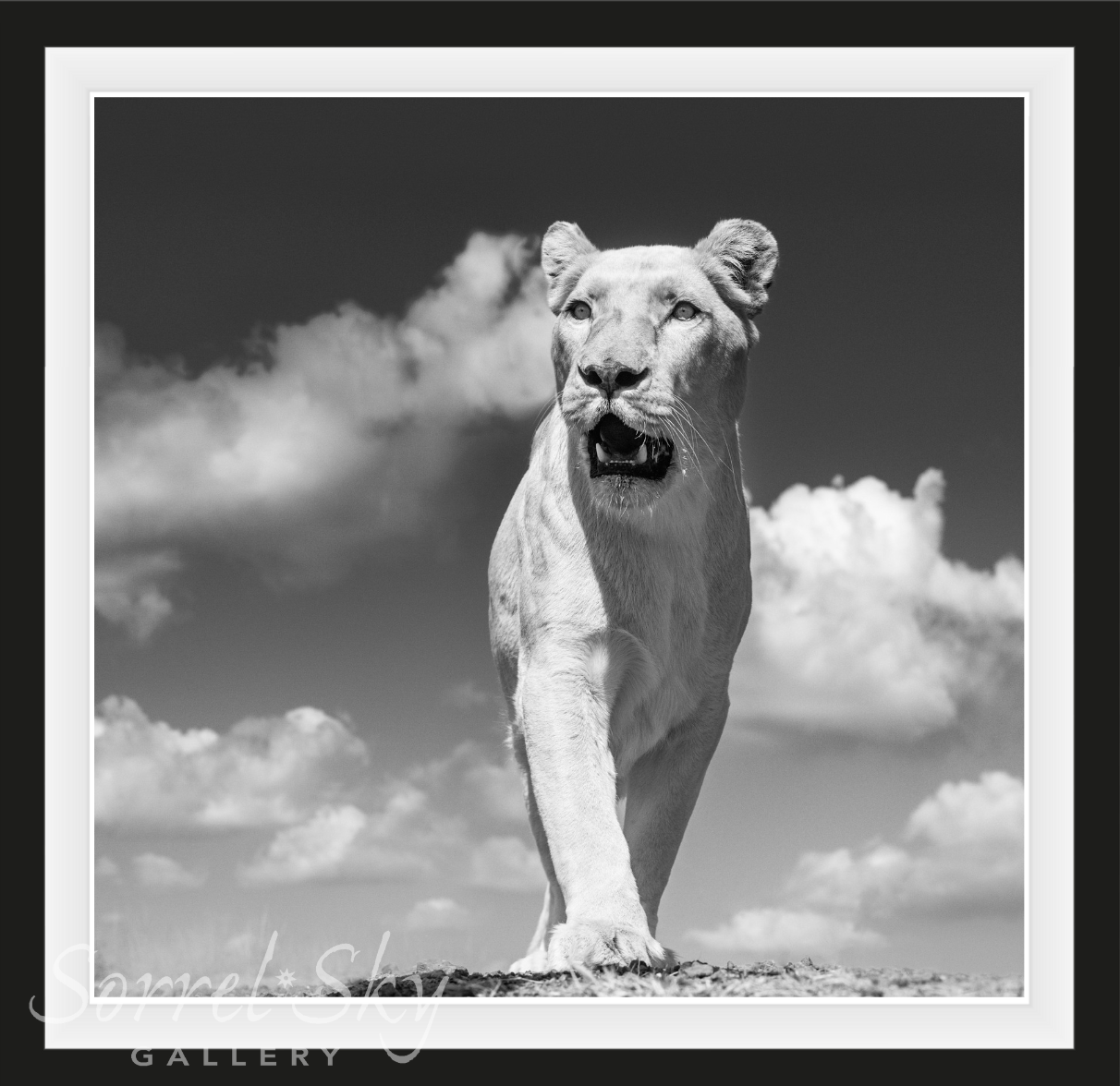 White Mischief