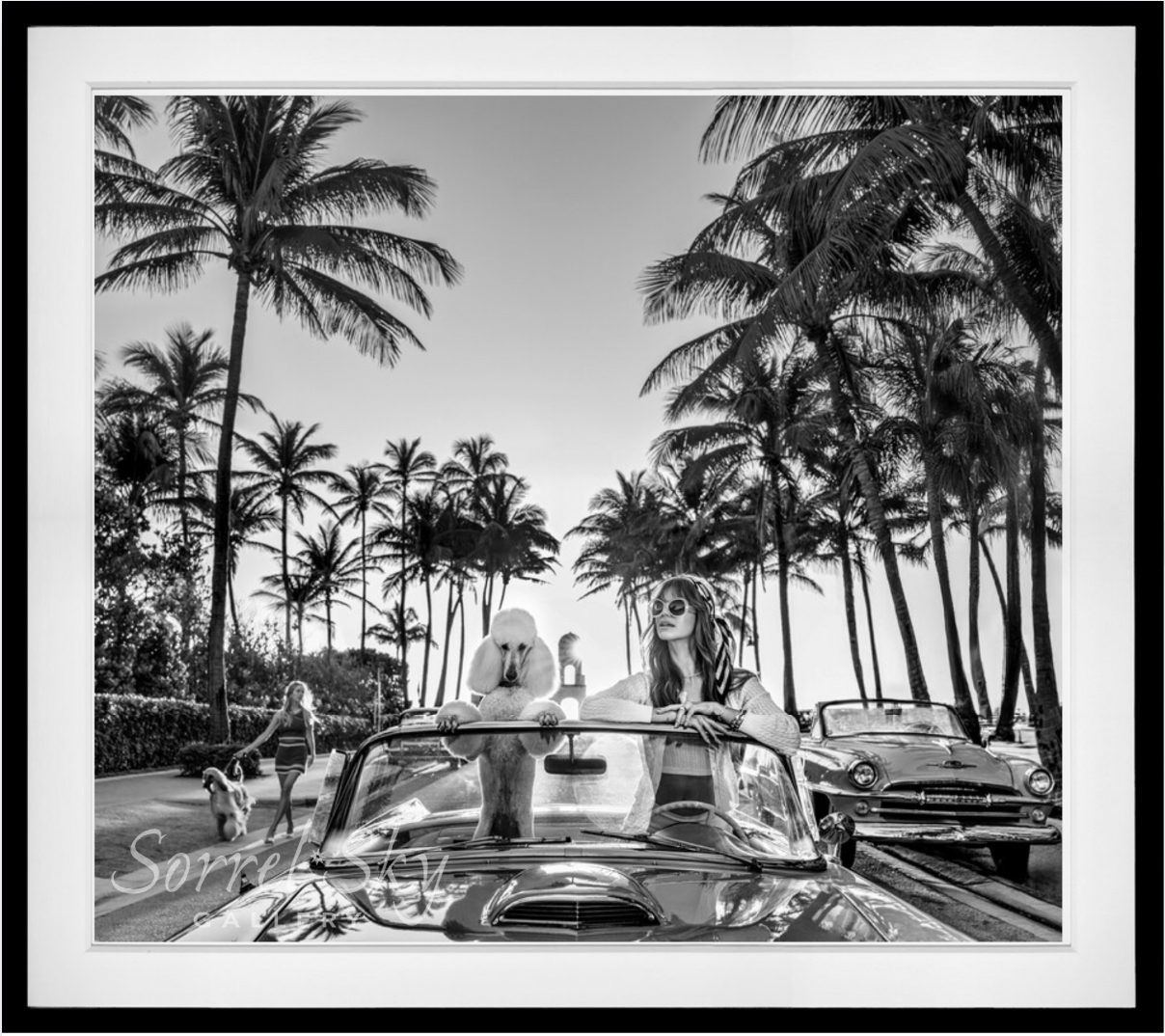 Worth Avenue (BW)-Photographic Print-David Yarrow-Sorrel Sky Gallery