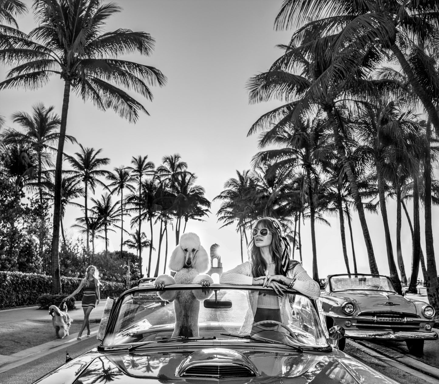 Worth Avenue (BW)-Photographic Print-David Yarrow-Sorrel Sky Gallery