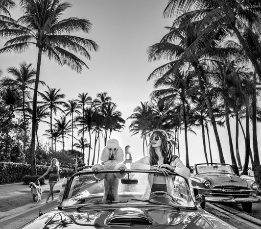 Worth Avenue (BW)-Photographic Print-David Yarrow-Sorrel Sky Gallery