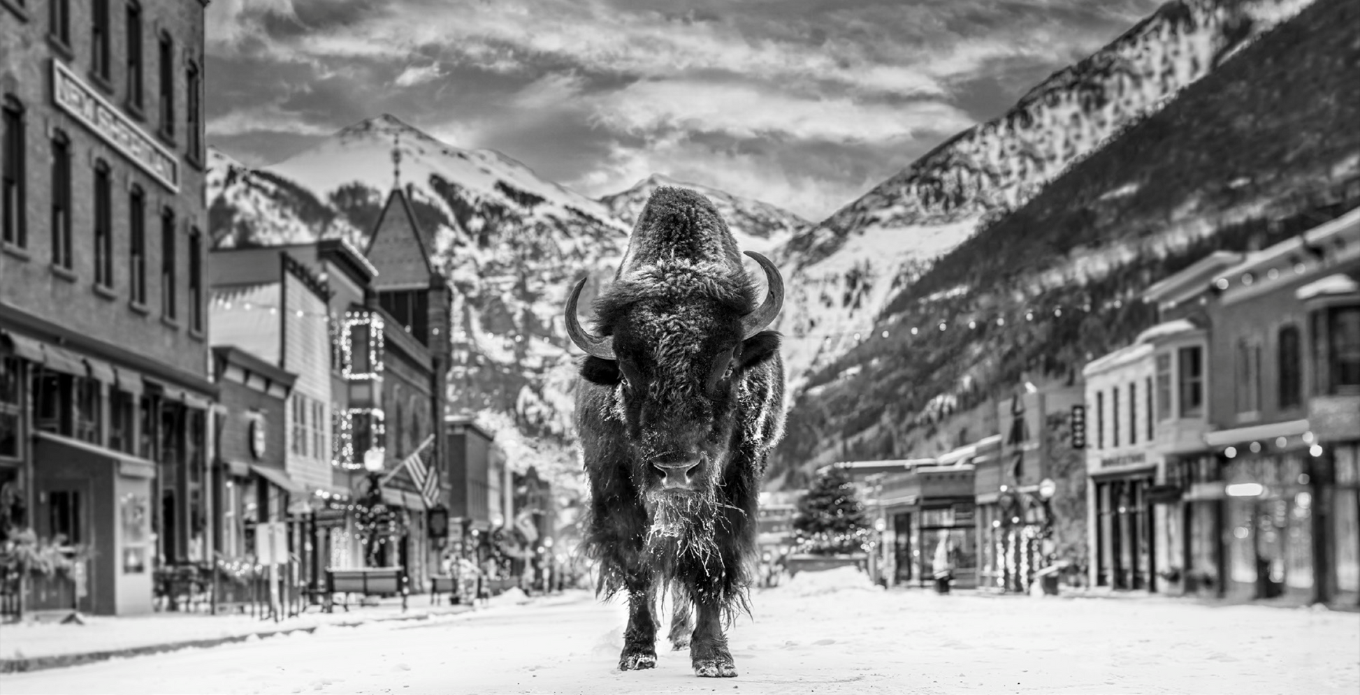 The Bison on Main-David Yarrow-Sorrel Sky Gallery