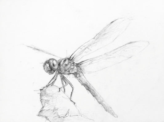 Dragonfly Study I-Painting-Doyle Hostetler-Sorrel Sky Gallery