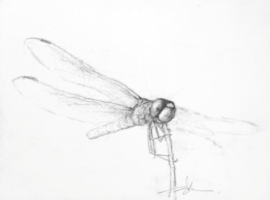 Dragonfly Study II-Painting-Doyle Hostetler-Sorrel Sky Gallery