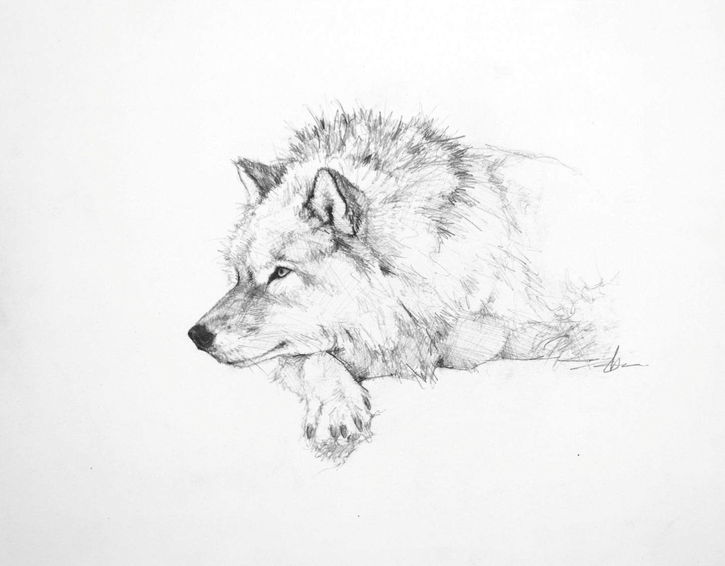 Resting Wolf Study I-Painting-Doyle Hostetler-Sorrel Sky Gallery