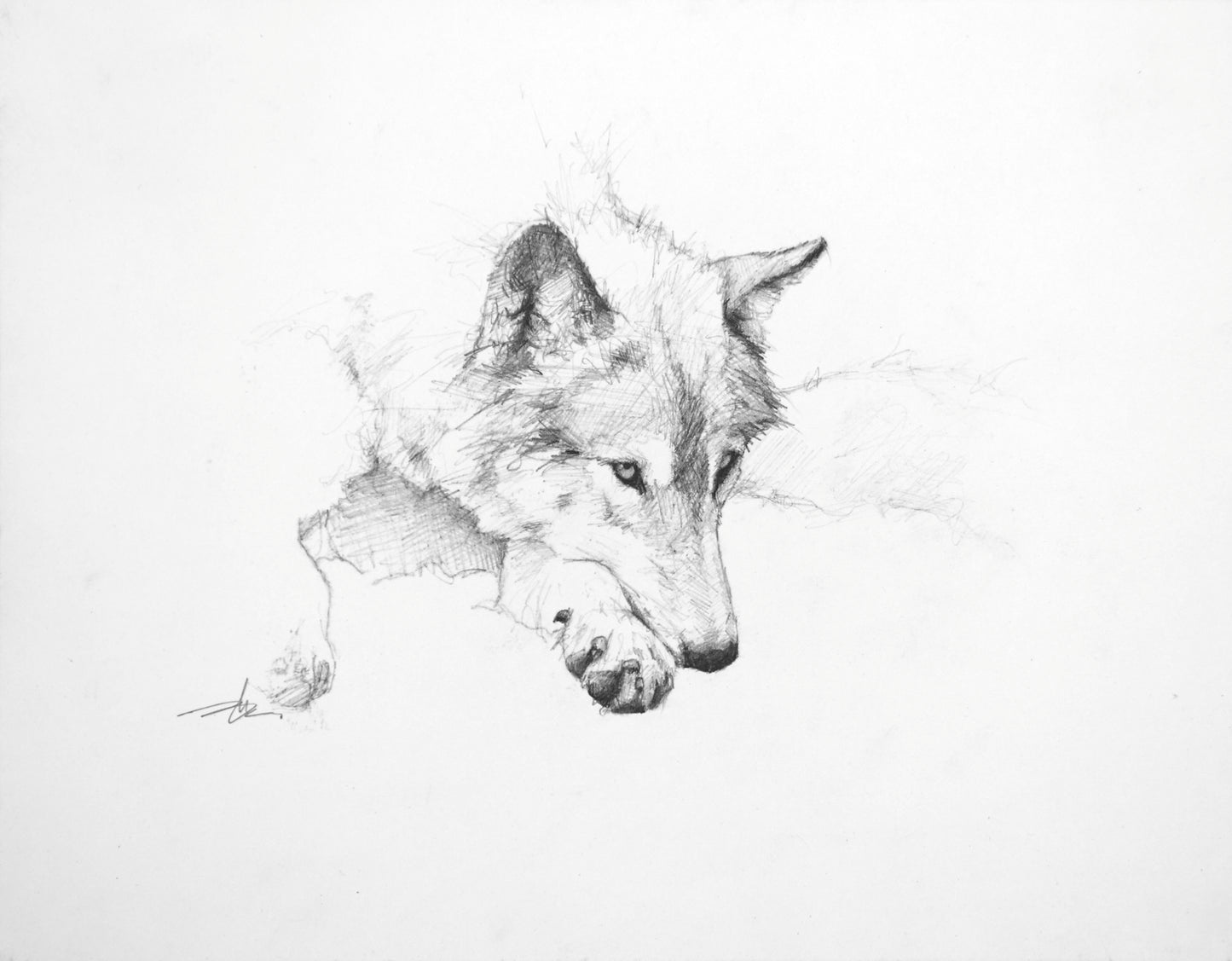 Resting Wolf Study III-Painting-Doyle Hostetler-Sorrel Sky Gallery