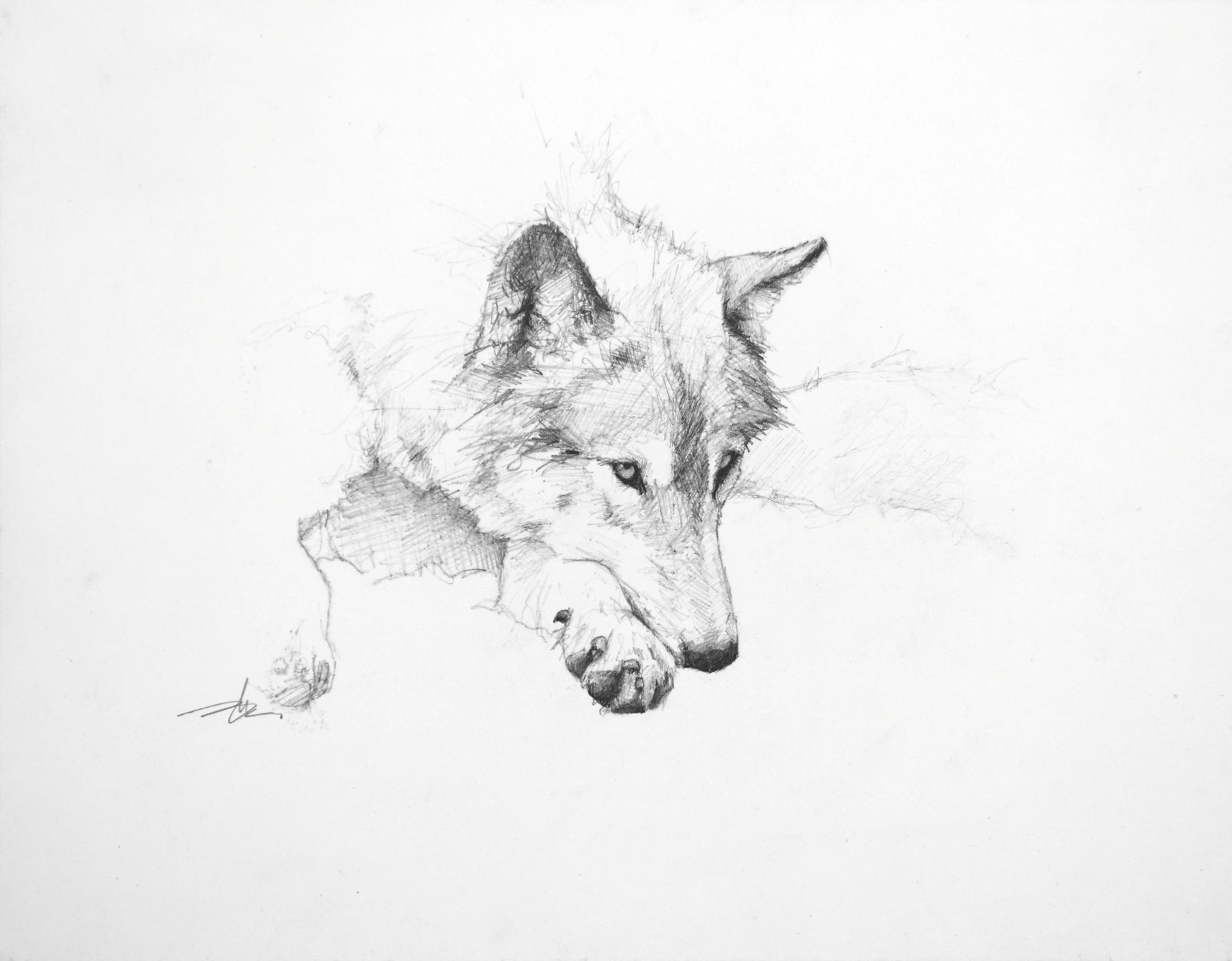 Resting Wolf Study III-Painting-Doyle Hostetler-Sorrel Sky Gallery