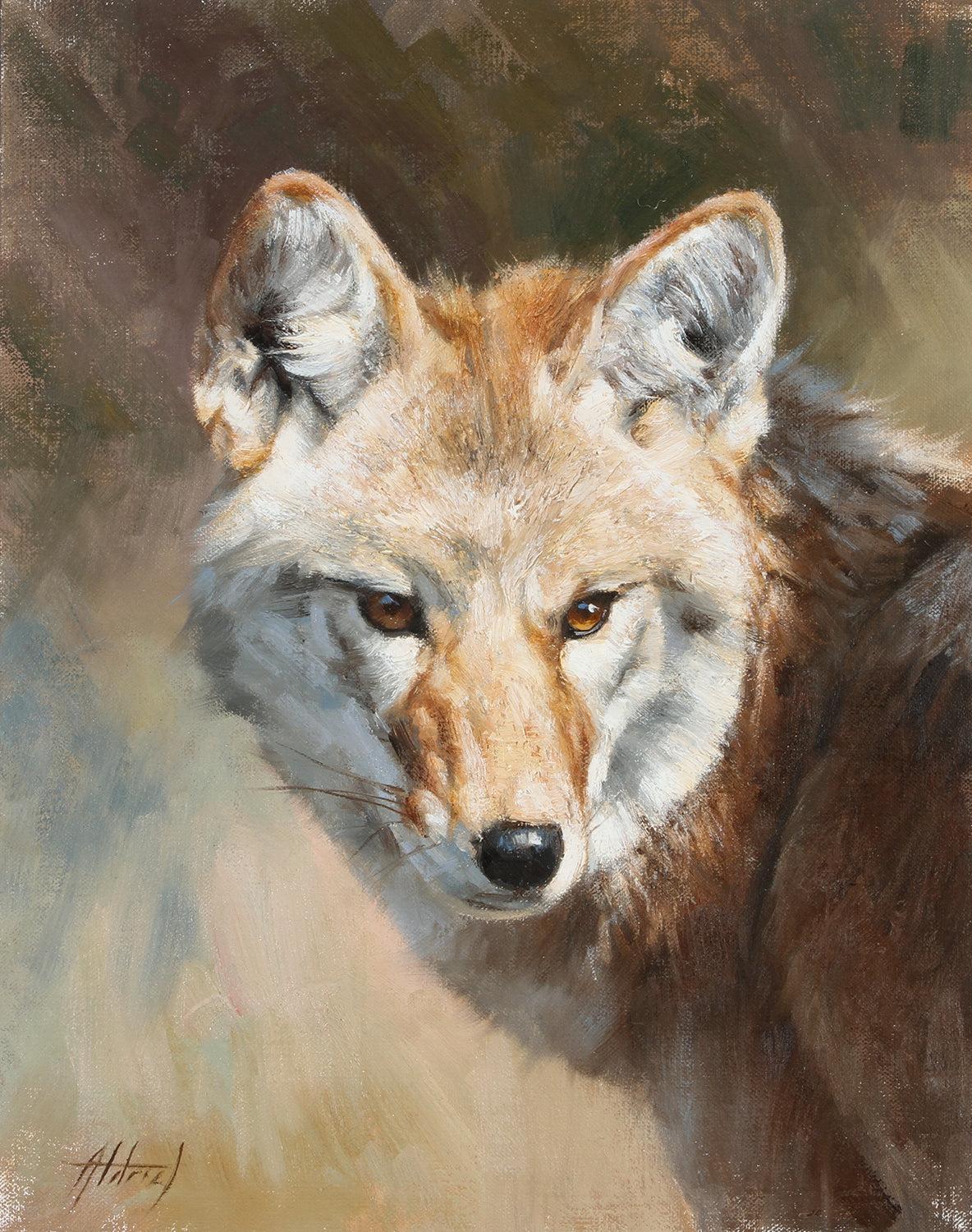 Coyote Portrait-Painting-Edward Aldrich-Sorrel Sky Gallery
