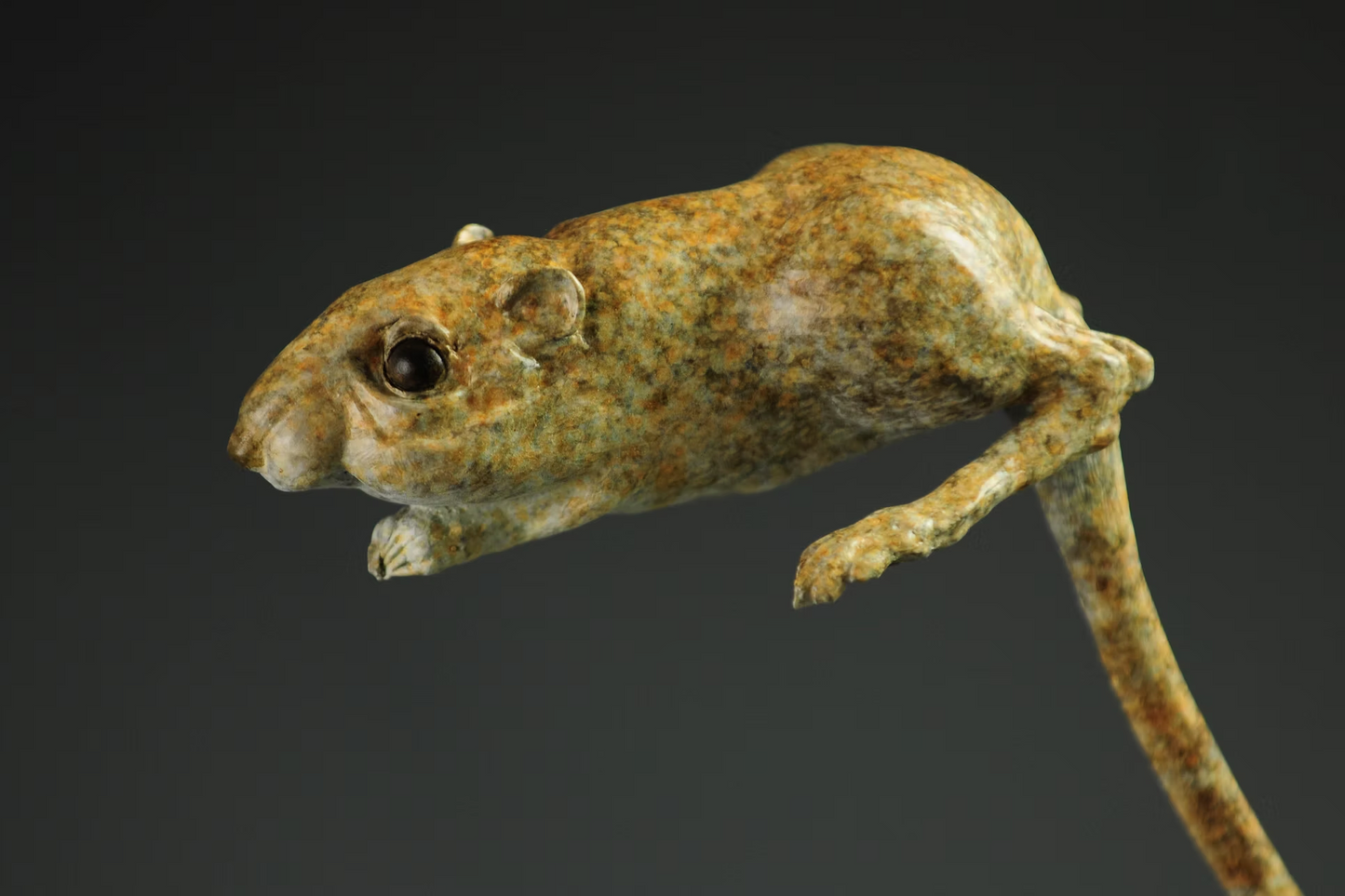 Boing!-Sculpture-Jeremy Bradshaw-Sorrel Sky Gallery