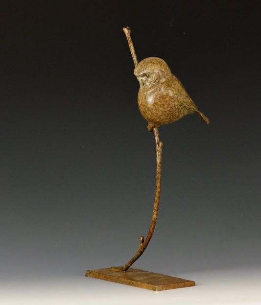 Pygmy Owl-Sculpture-Jeremy Bradshaw-Sorrel Sky Gallery