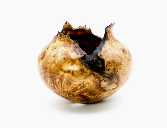 Aspen Burl Hollow Turning-Sculpture-Jerry Wedekind-Sorrel Sky Gallery