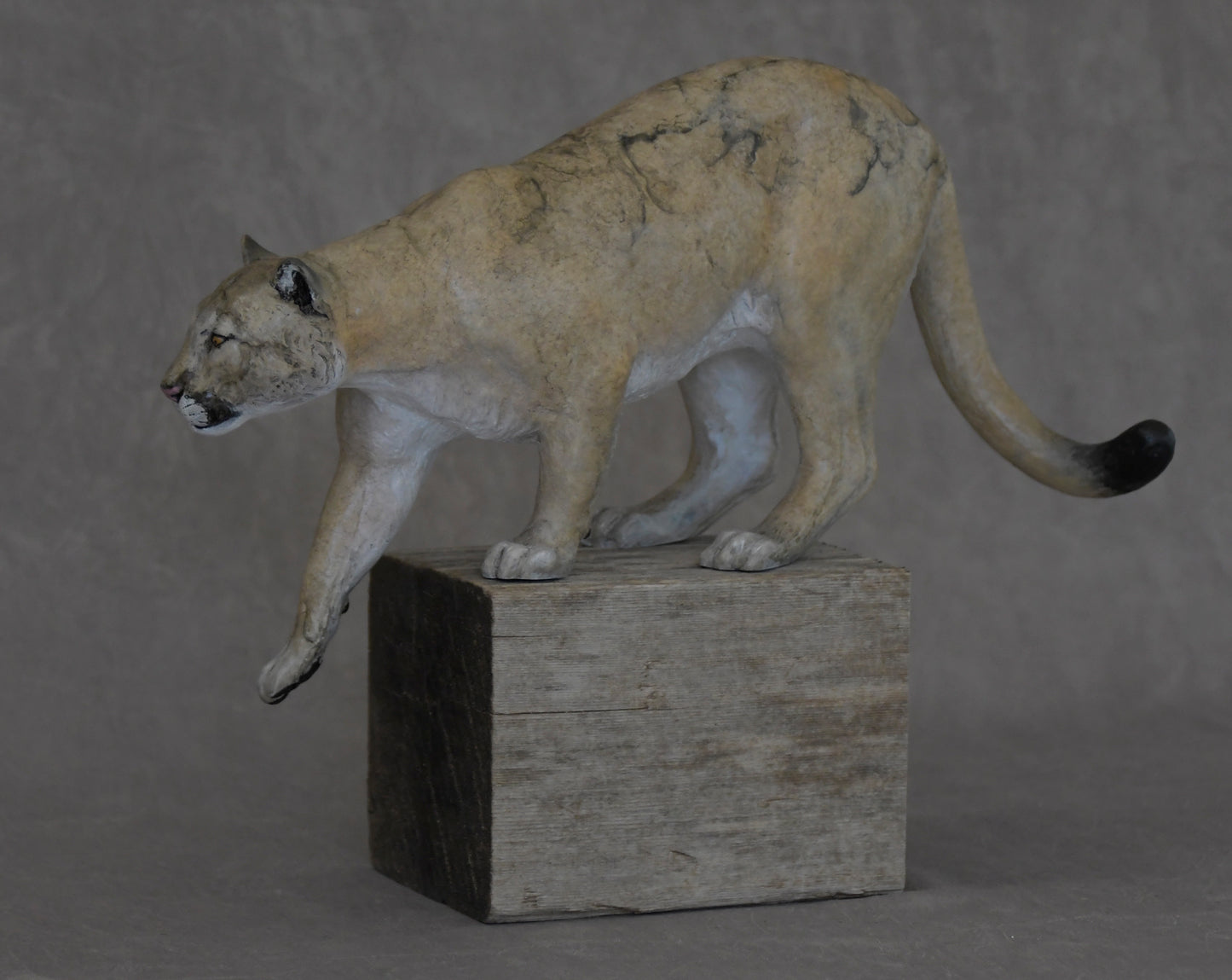 Cougar I