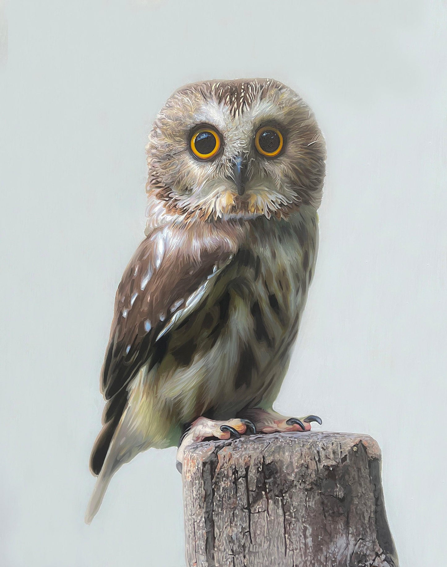 Owl-Painting-Matthew Grant-Sorrel Sky Gallery