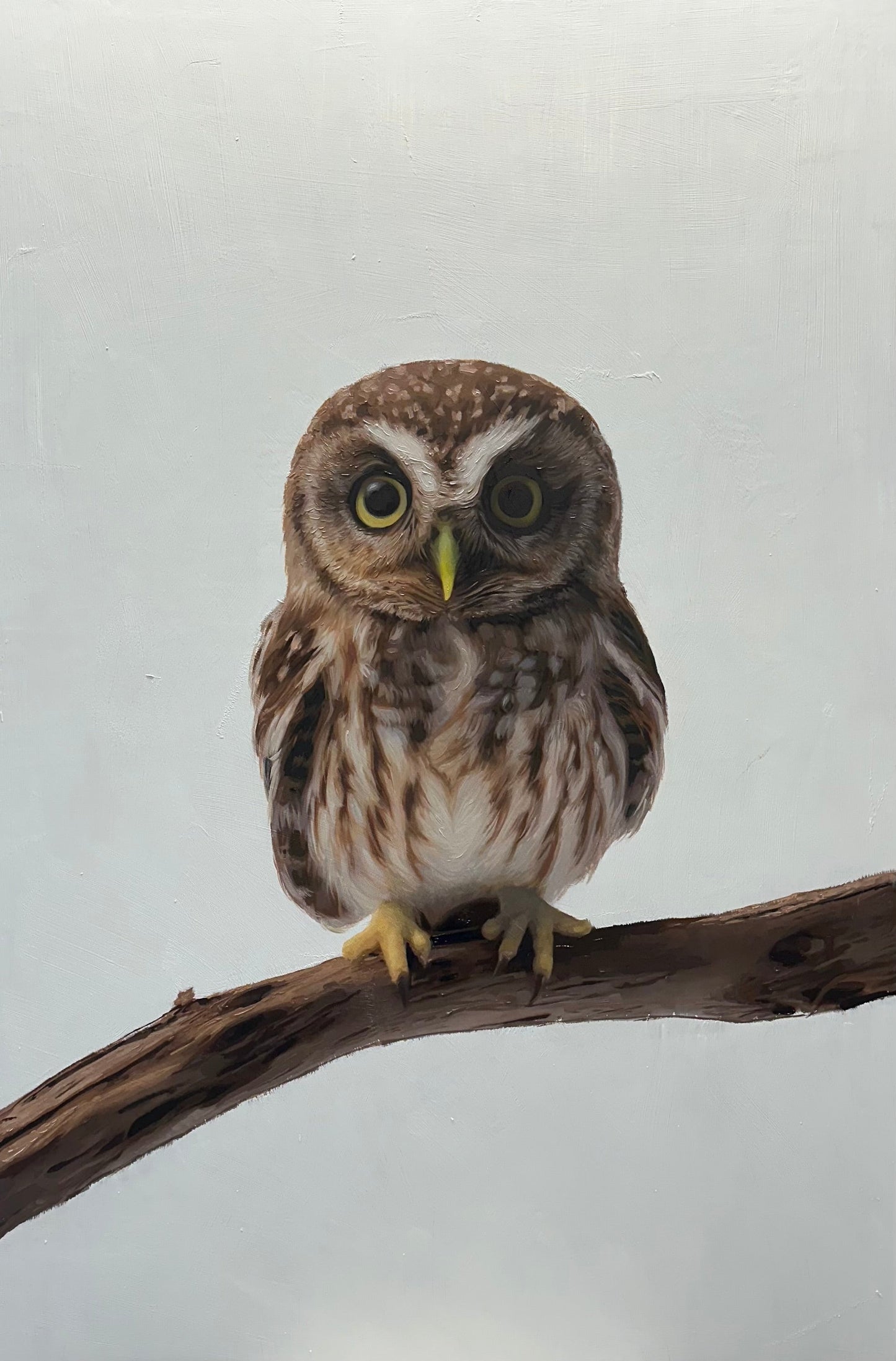 Owl-Painting-Matthew Grant-Sorrel Sky Gallery