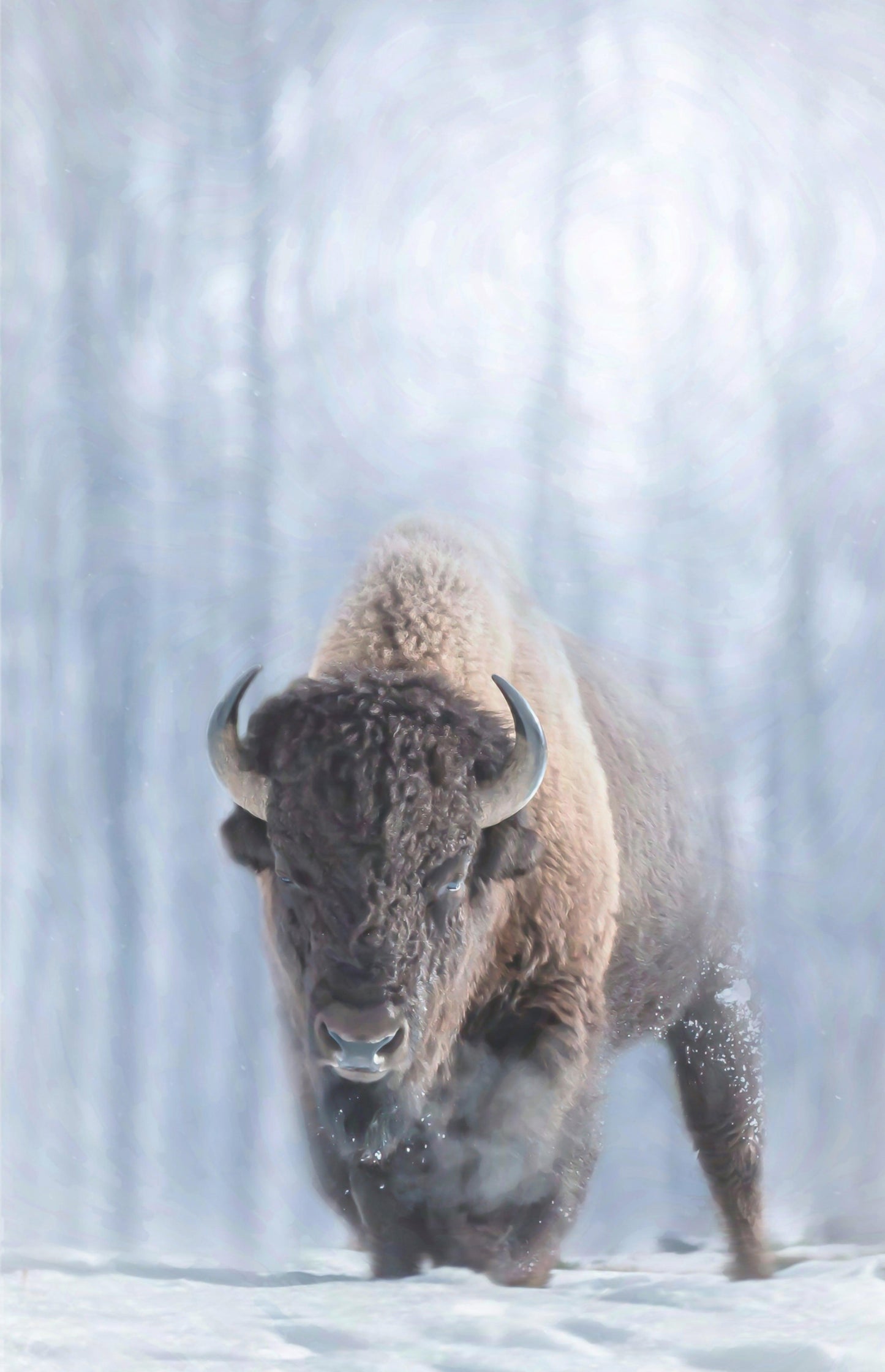Winter Wanderer-Painting-Matthew Grant-Sorrel Sky Gallery