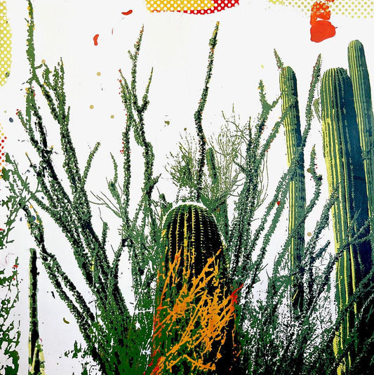 Cactus Light-Painting-Maura Allen-Sorrel Sky Gallery