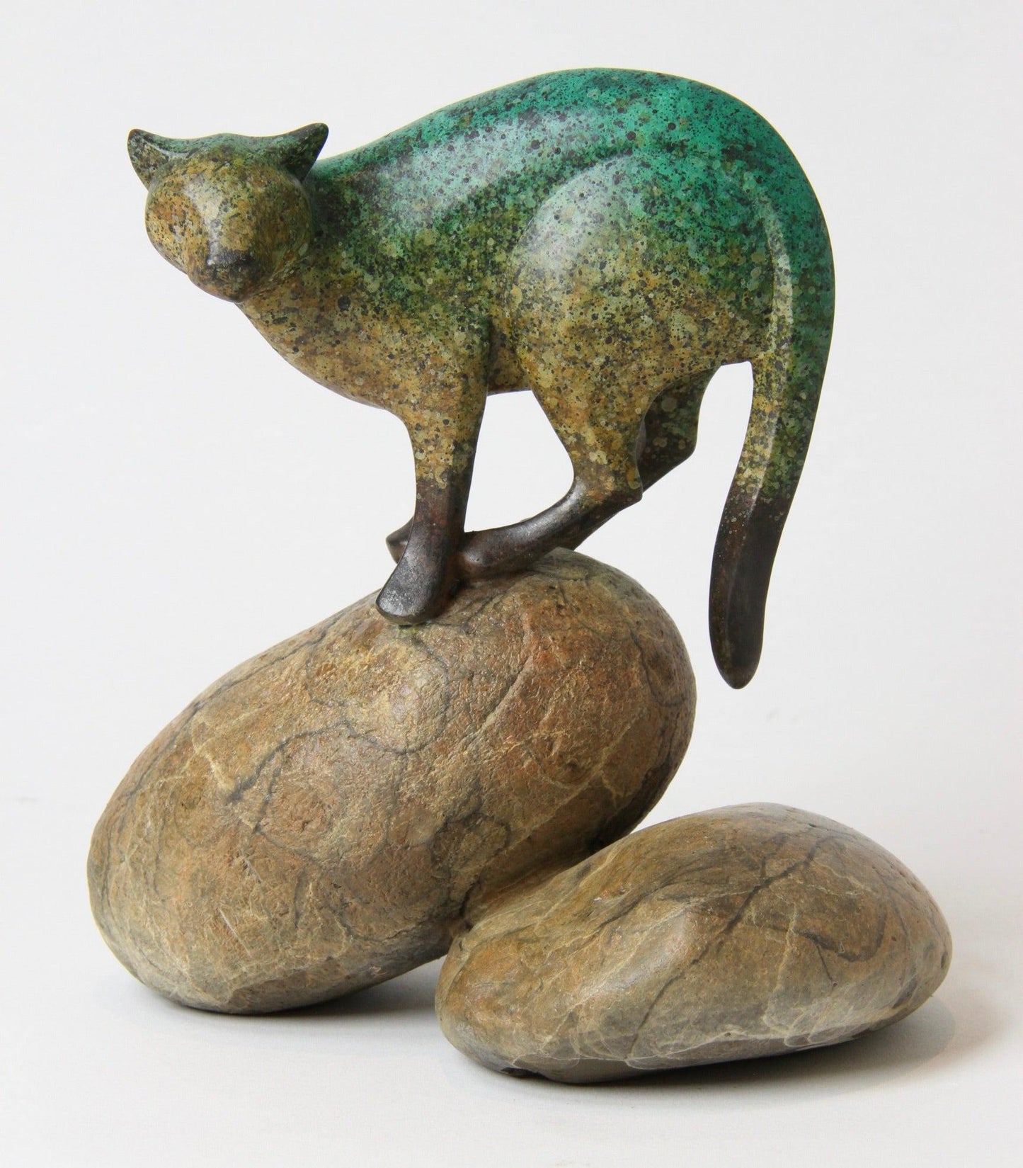 Puma On Rocks
