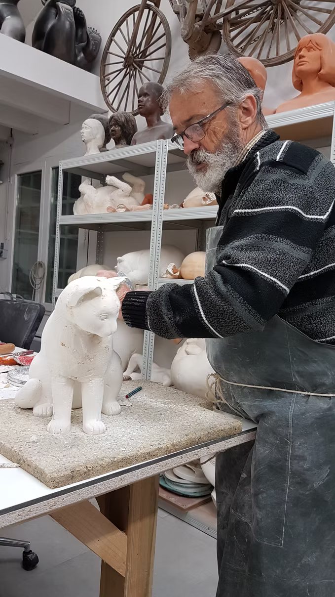 Cat's Tooth | La Dent du Chat