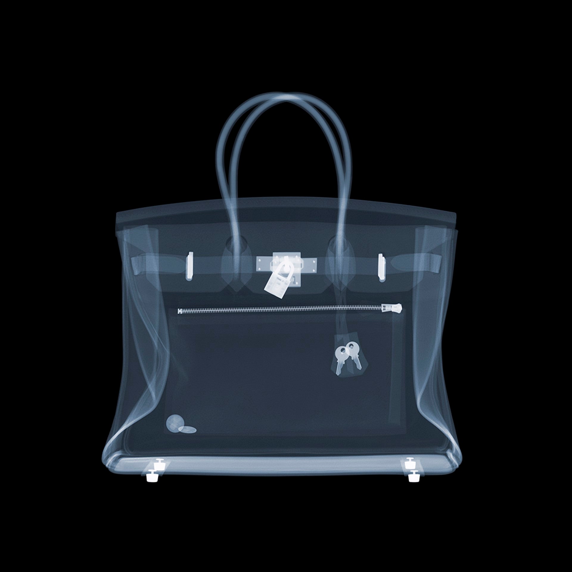 Hermes Birkin Bag | Nick Veasey | Sorrel Sky Gallery
