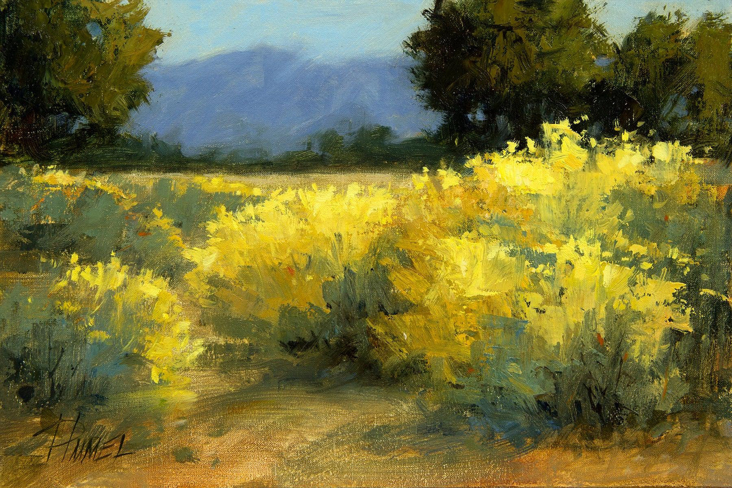 Bloomin’ Chamisa-Painting-Peggy Immel-Sorrel Sky Gallery
