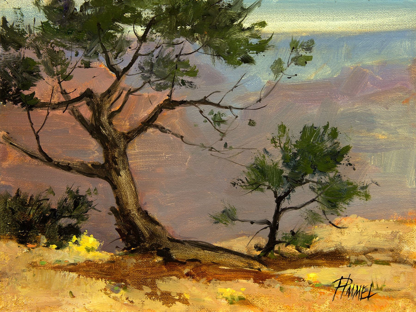Pima Point Bonsai-Painting-Peggy Immel-Sorrel Sky Gallery