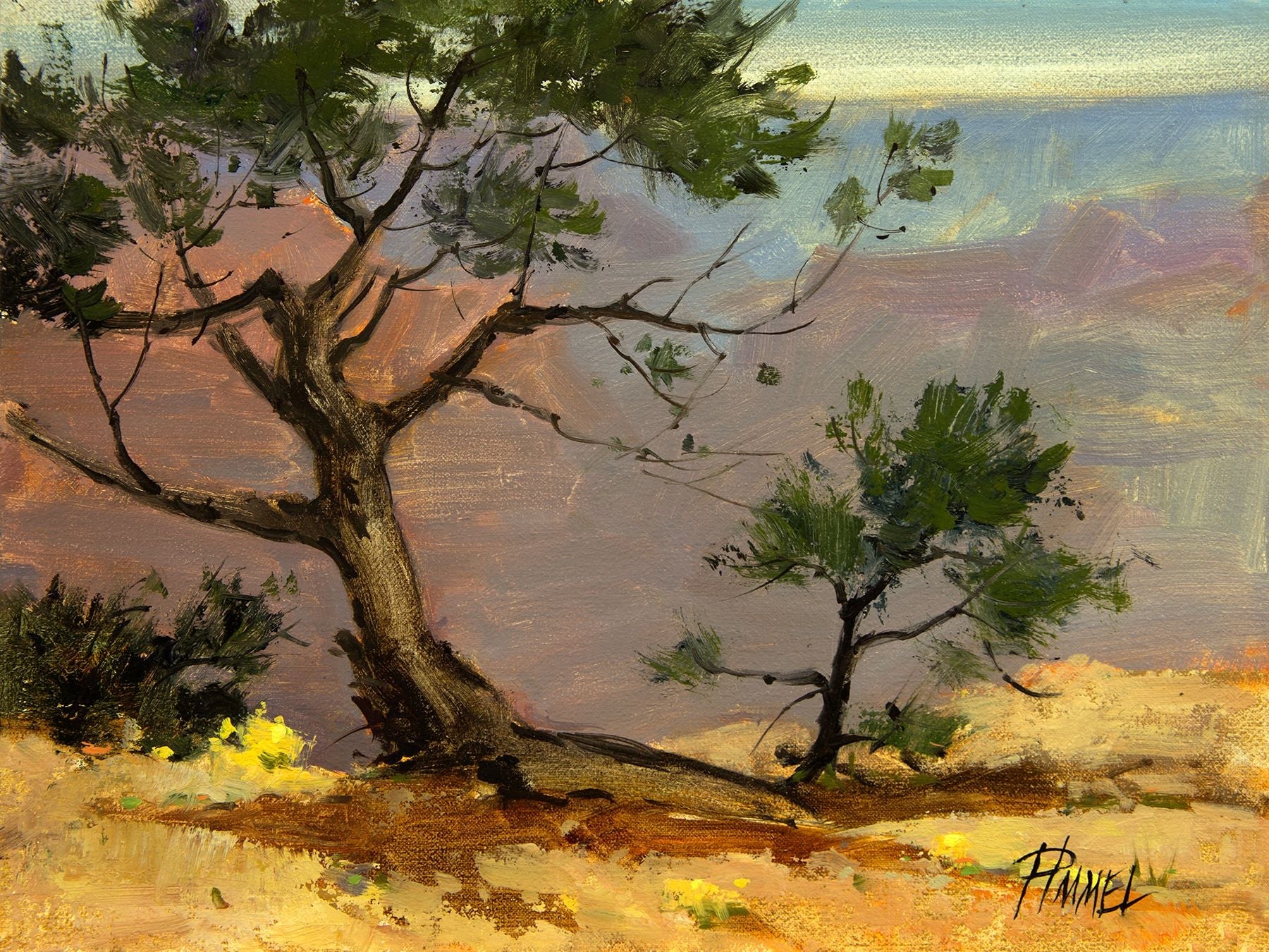 Pima Point Bonsai-Painting-Peggy Immel-Sorrel Sky Gallery
