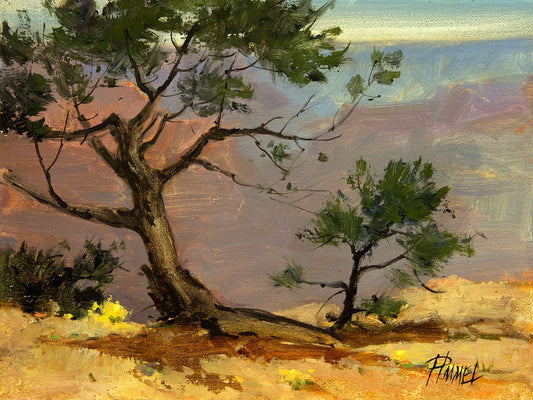 Pima Point Bonsai-Painting-Peggy Immel-Sorrel Sky Gallery