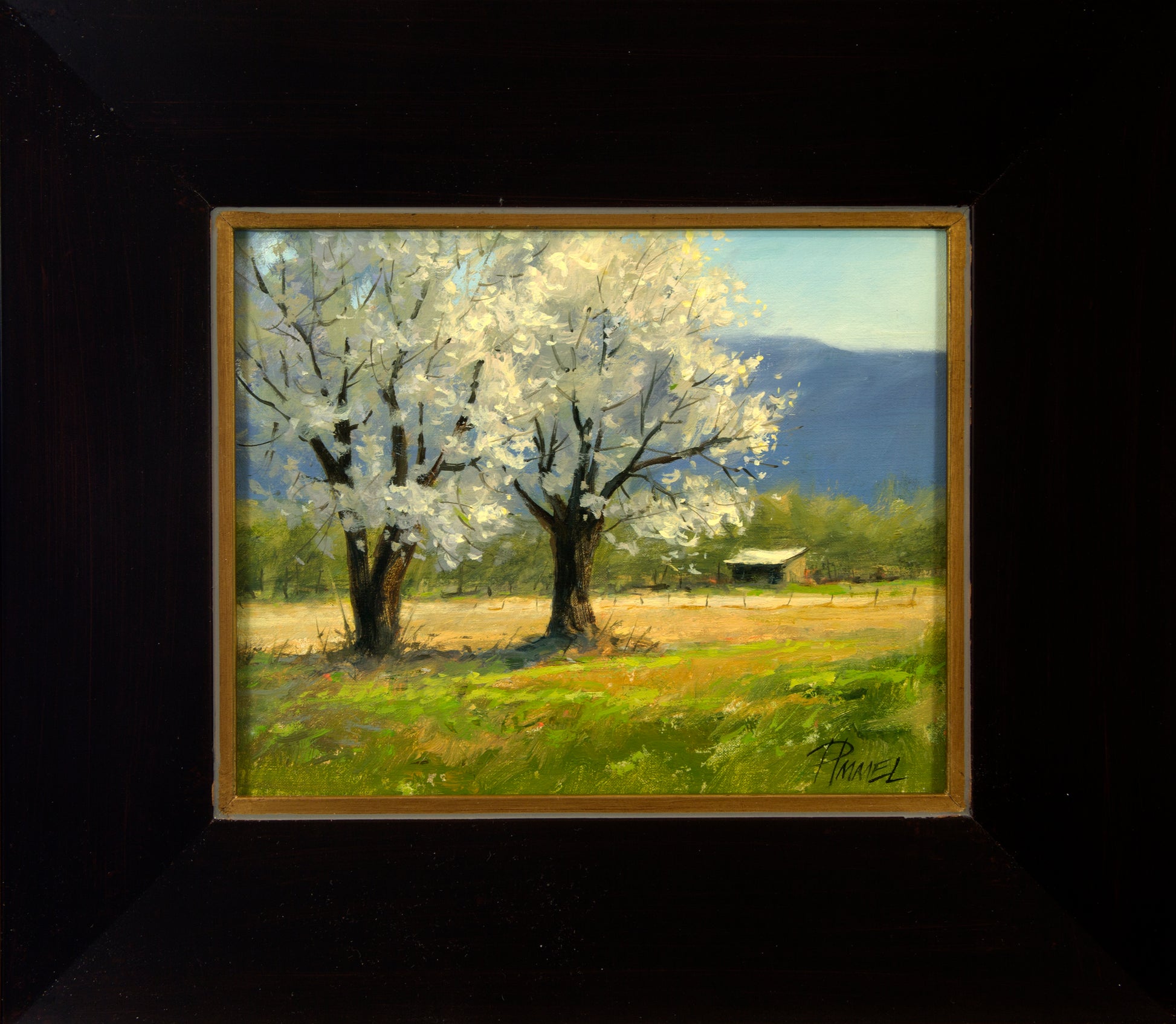 Two Old Apple Trees-Painting-Peggy Immel-Sorrel Sky Gallery
