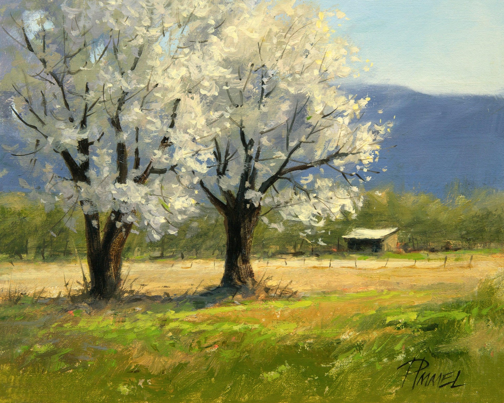 Two Old Apple Trees-Painting-Peggy Immel-Sorrel Sky Gallery