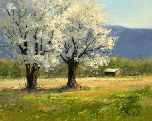 Two Old Apple Trees-Painting-Peggy Immel-Sorrel Sky Gallery