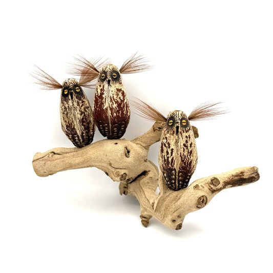 3 Mahogany Owl Pod Sculpture-Sculpture-Robert Rivera-Sorrel Sky Gallery