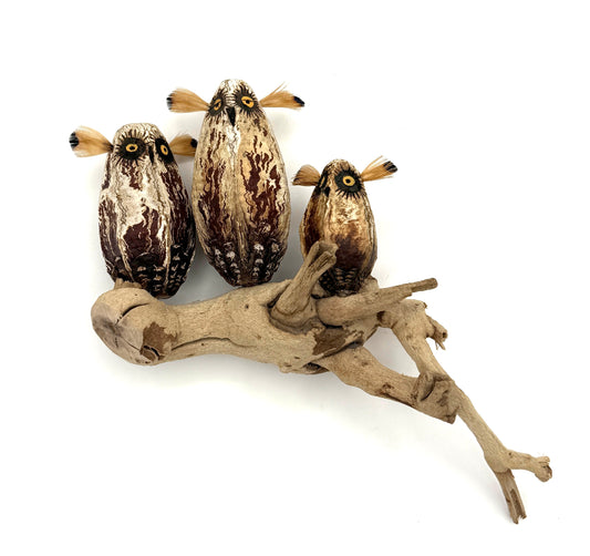 3 Mahogany Owl Pod Sculpture-Sculpture-Robert Rivera-Sorrel Sky Gallery