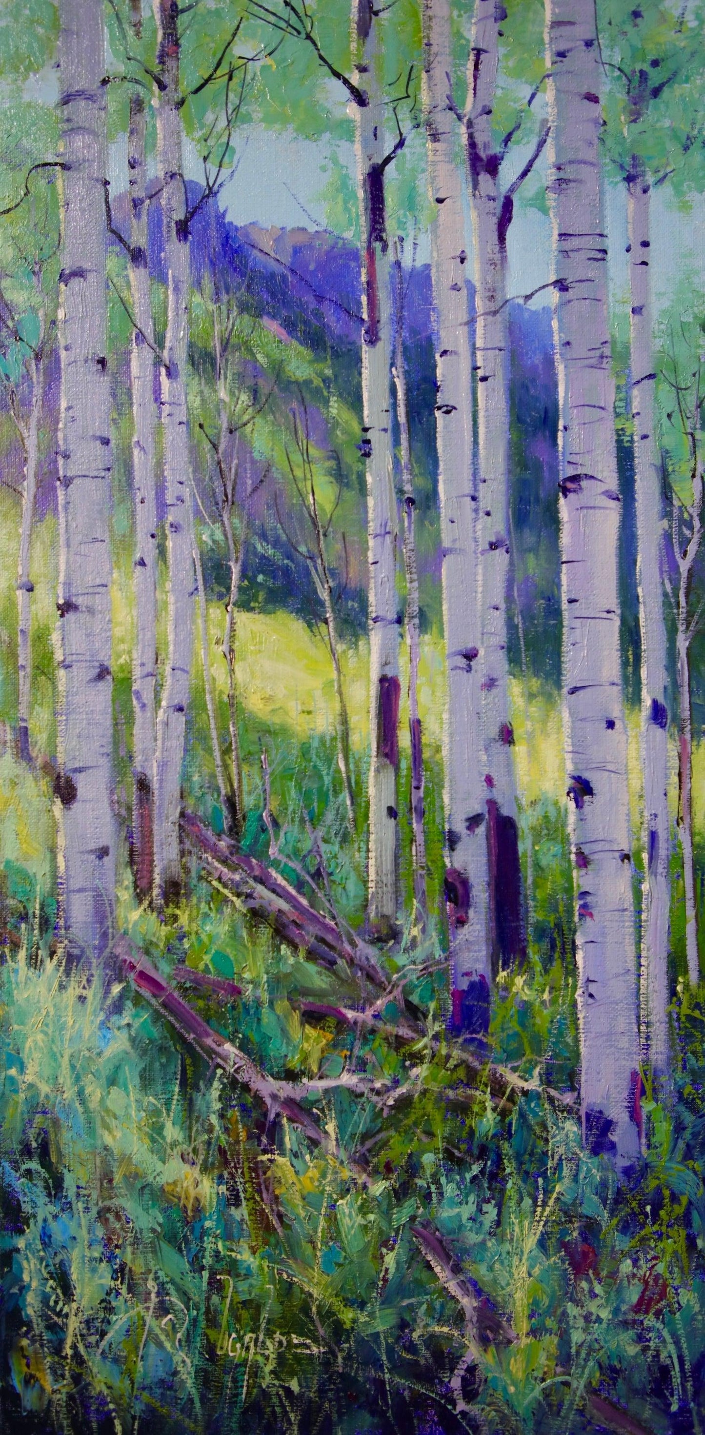 Spring Light-Painting-Roberto Ugalde-Sorrel Sky Gallery