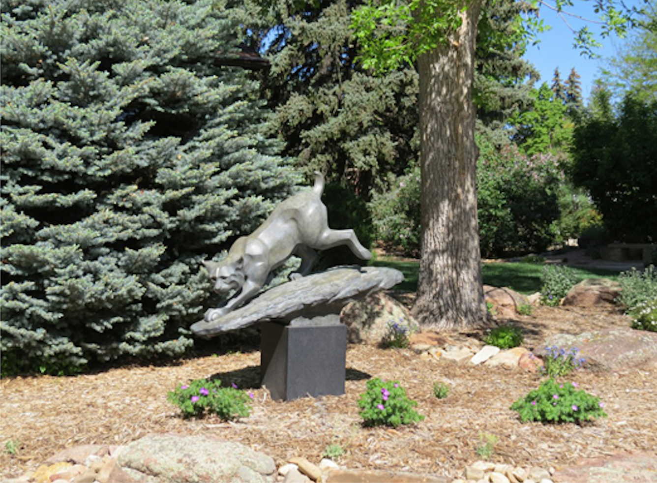 Bobcat - Lifesize-Sculpture-Rosetta-Sorrel Sky Gallery