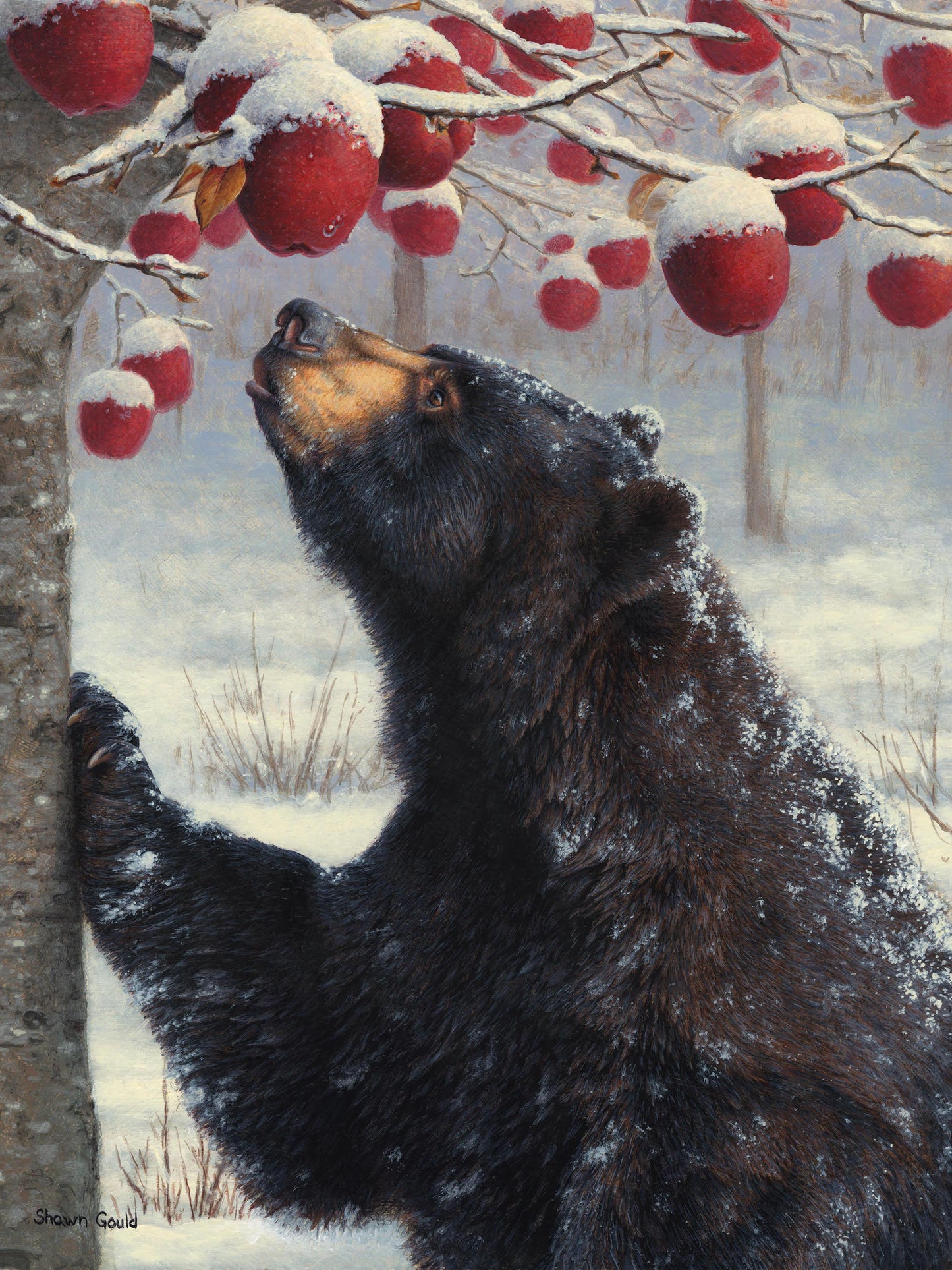 Apple of My Eye-Painting-Shawn Gould-Sorrel Sky Gallery