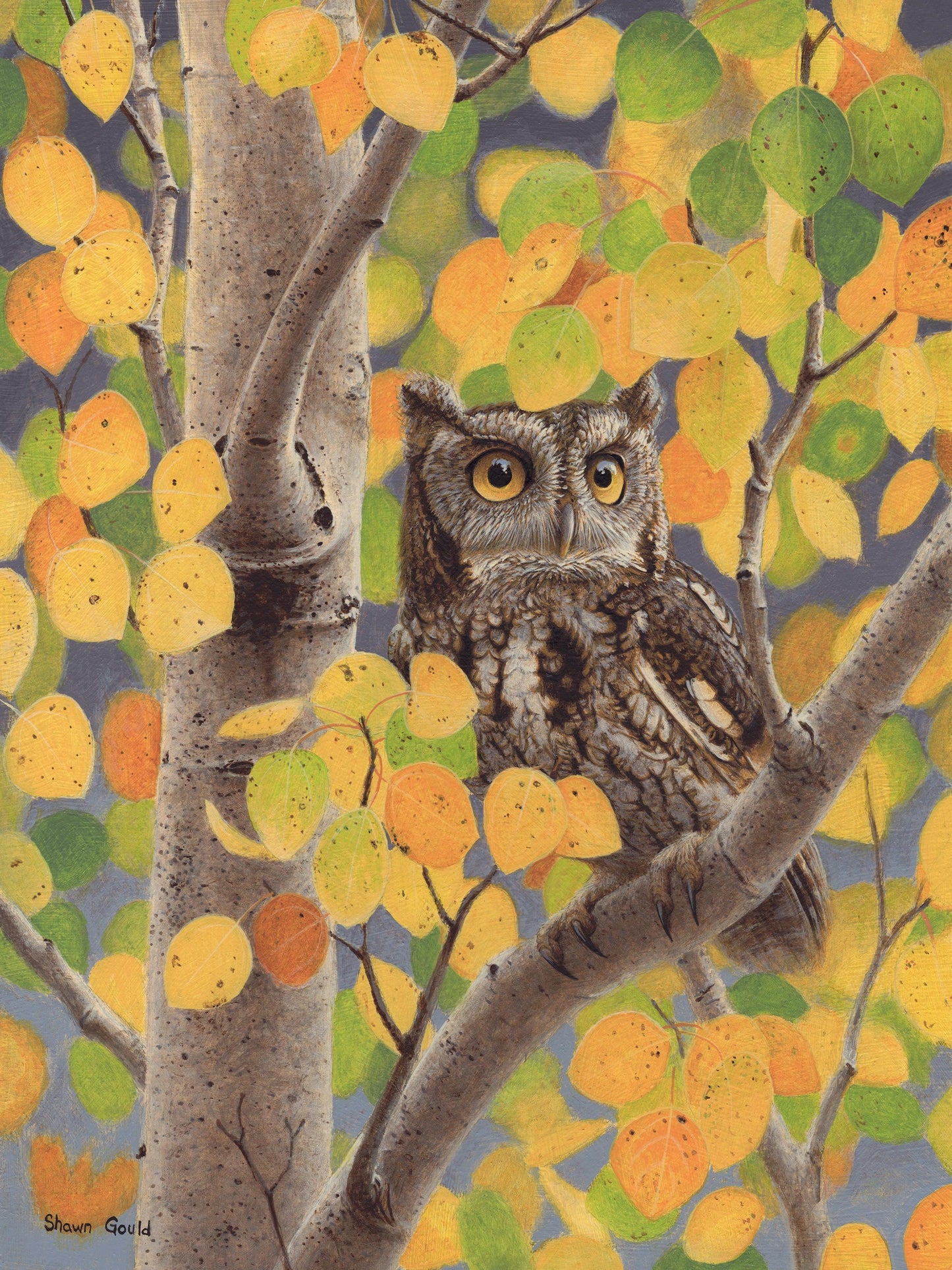 Autumn Screech Owl-Painting-Shawn Gould-Sorrel Sky Gallery