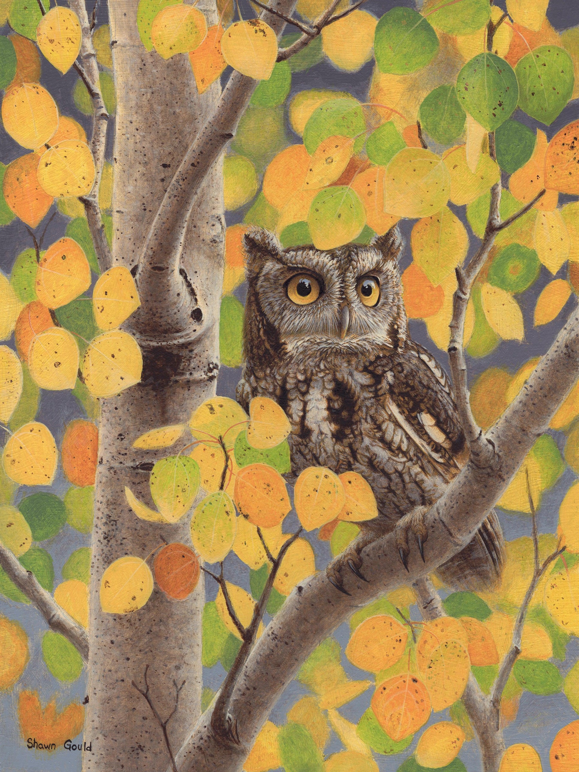 Autumn Screech Owl-Painting-Shawn Gould-Sorrel Sky Gallery