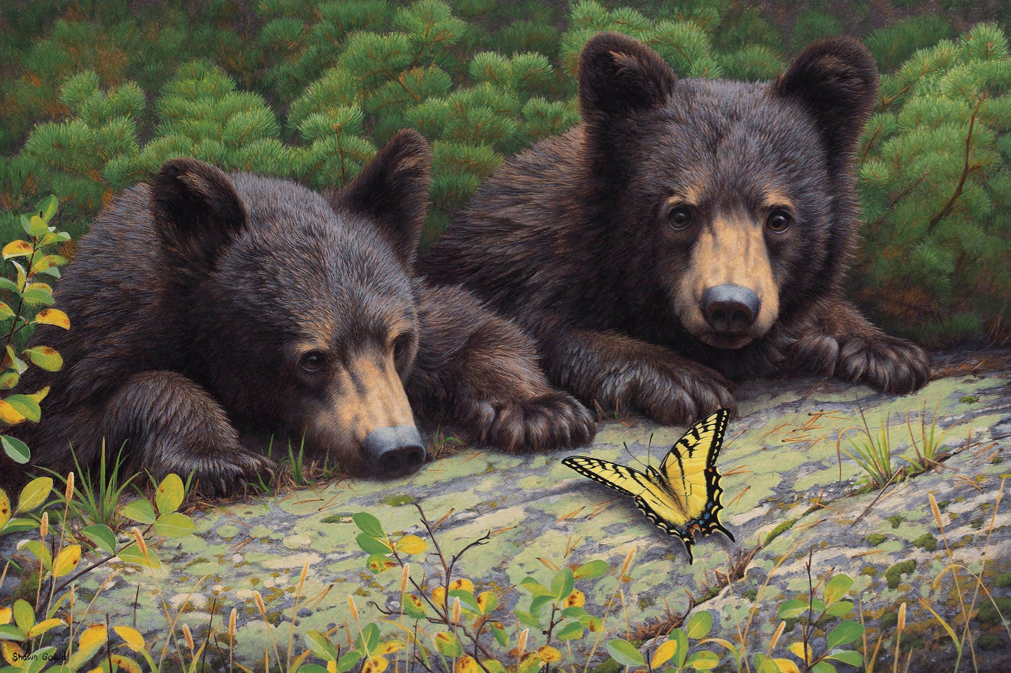 Discovery-Painting-Shawn Gould-Sorrel Sky Gallery