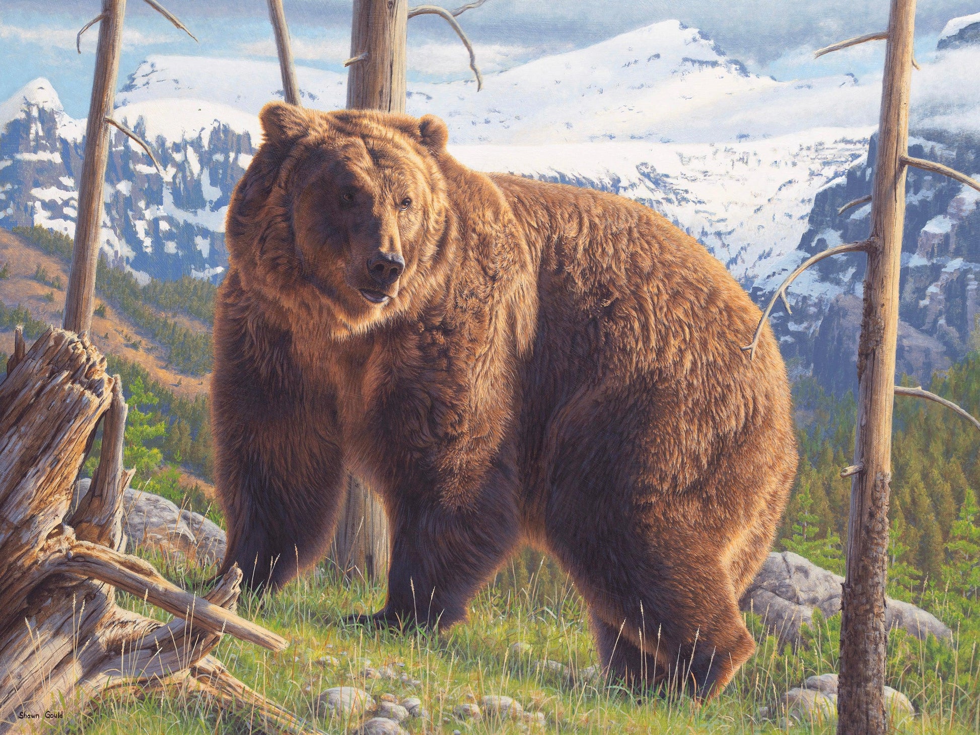 Higher Ground-Painting-Shawn Gould-Sorrel Sky Gallery