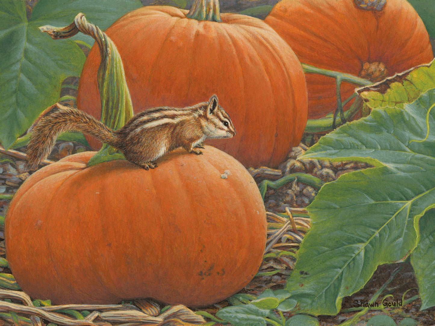 Little Garden Guest-Painting-Shawn Gould-Sorrel Sky Gallery