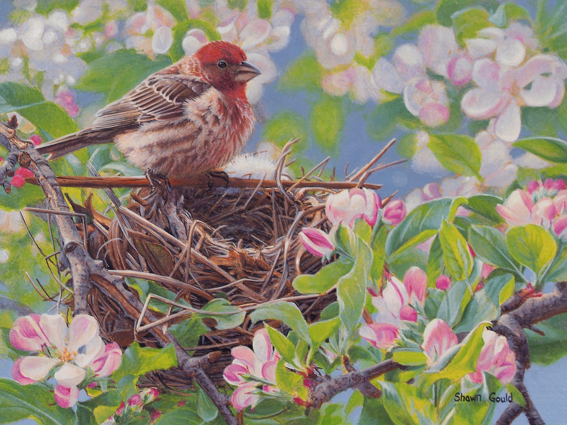 Spring Renewal-Painting-Shawn Gould-Sorrel Sky Gallery