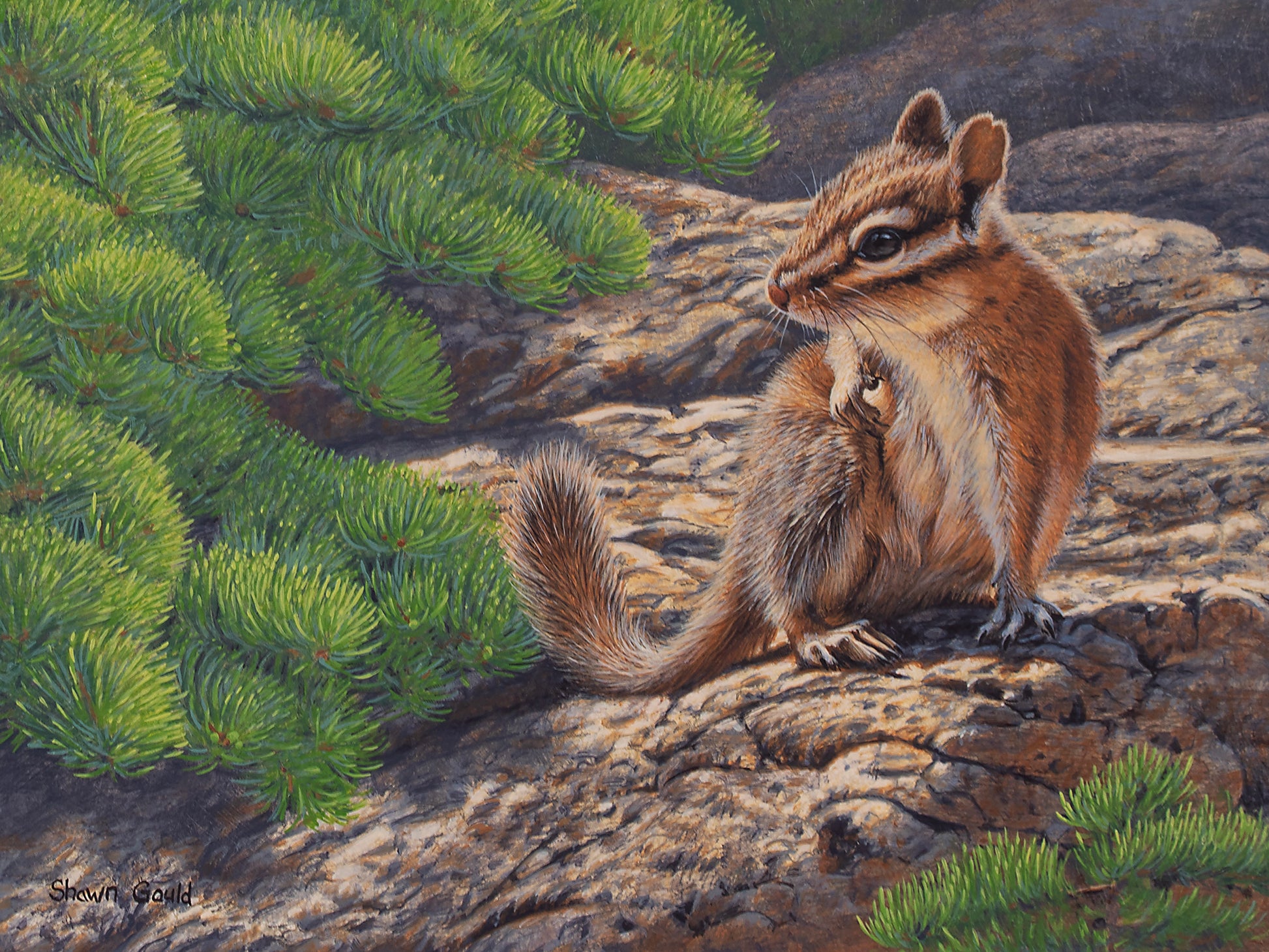 What Was That?-Painting-Shawn Gould-Sorrel Sky Gallery