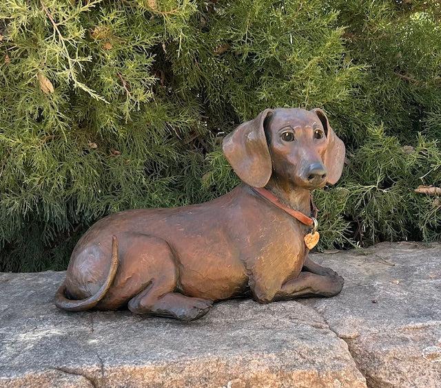 Dachsie