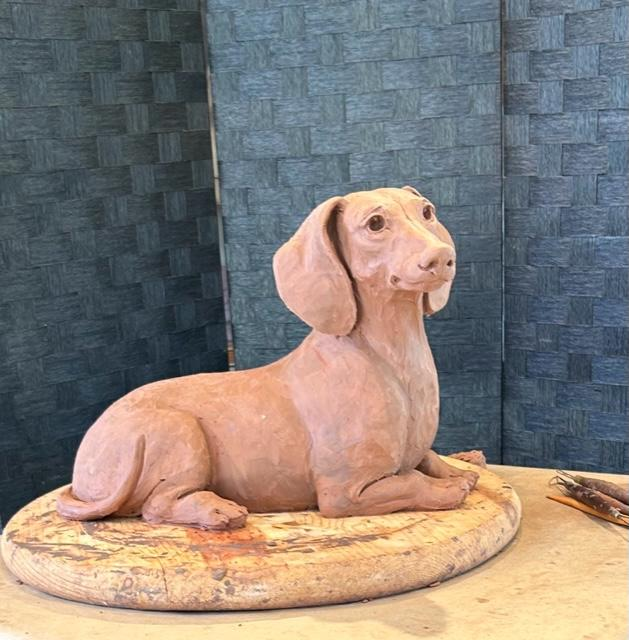 Dachsie