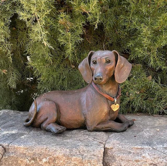 Dachsie