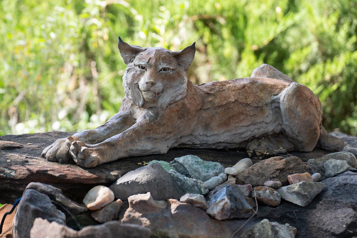 Purrfect Lazy Day