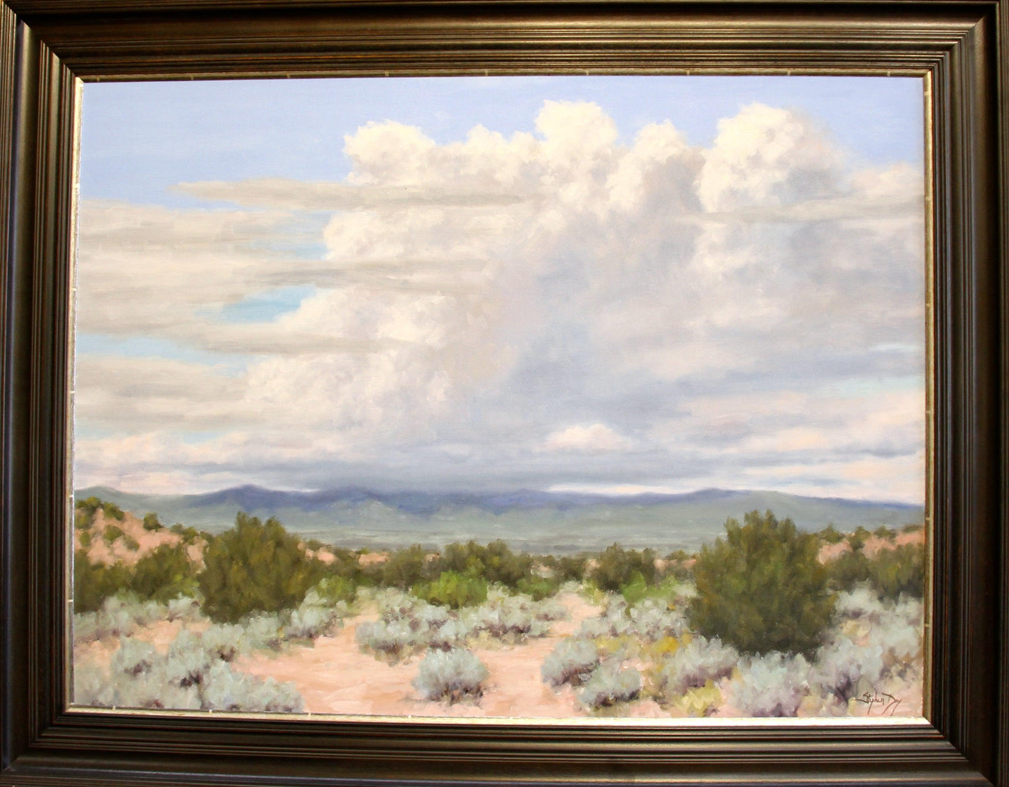 Summer Clouds – Near Santa Fe