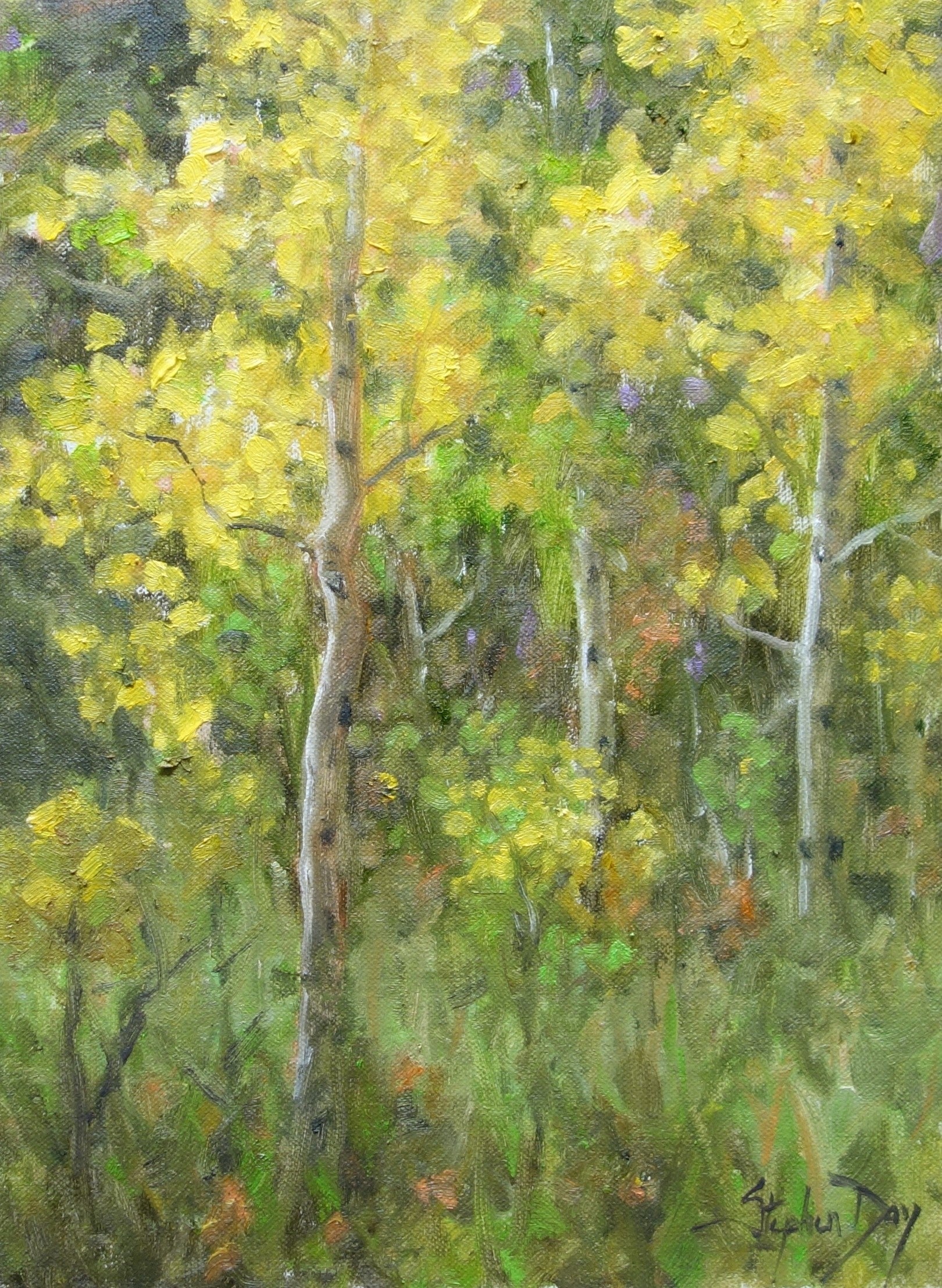 Young Aspen-Painting-Stephen Day-Sorrel Sky Gallery
