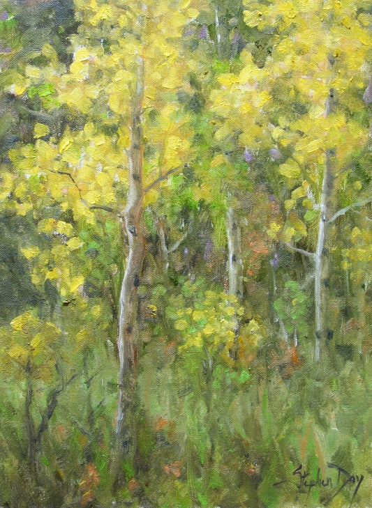 Young Aspen-Painting-Stephen Day-Sorrel Sky Gallery