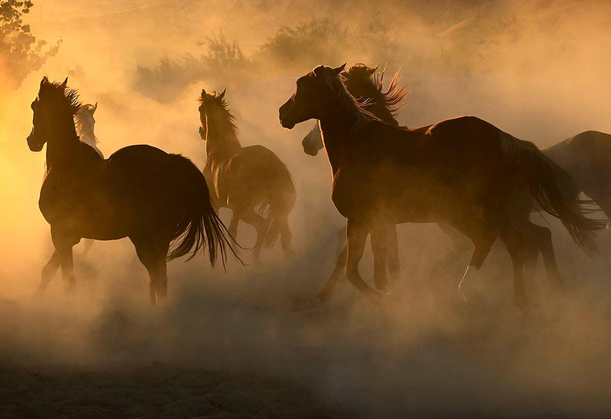 Blazing-Photography-Tony Stromberg-Sorrel Sky Gallery