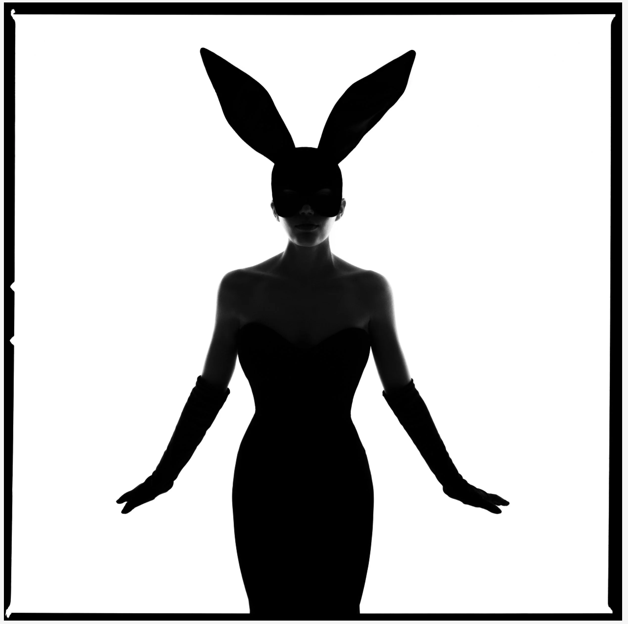 Bunny Silhouette II-Photographic Print-Tyler Shields-Sorrel Sky Gallery